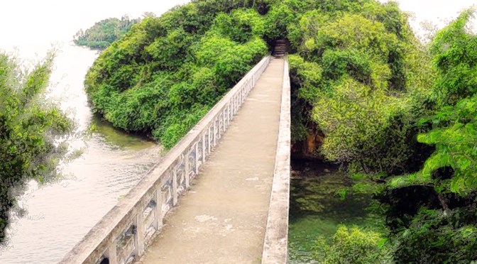 Irikan – La voce del legno